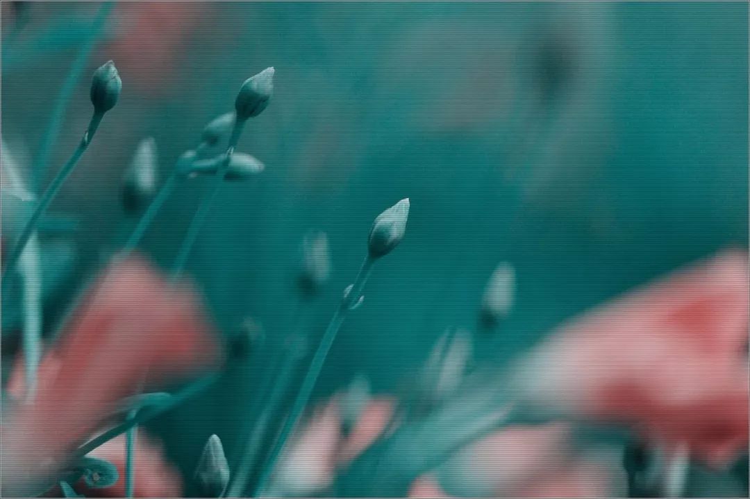 简单的人生才是最美的 3135d284c16f435b9328cc76df94f1d2.jpeg