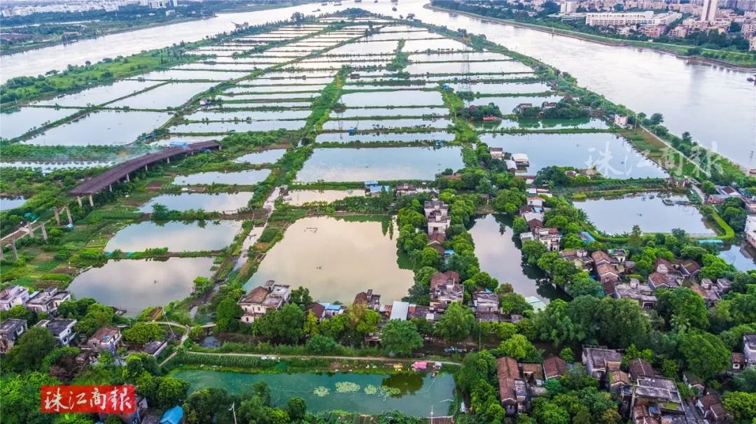 走到大汕岛的乡间小路上,在田间呼吸着新鲜空气,看着各种生机勃勃的农