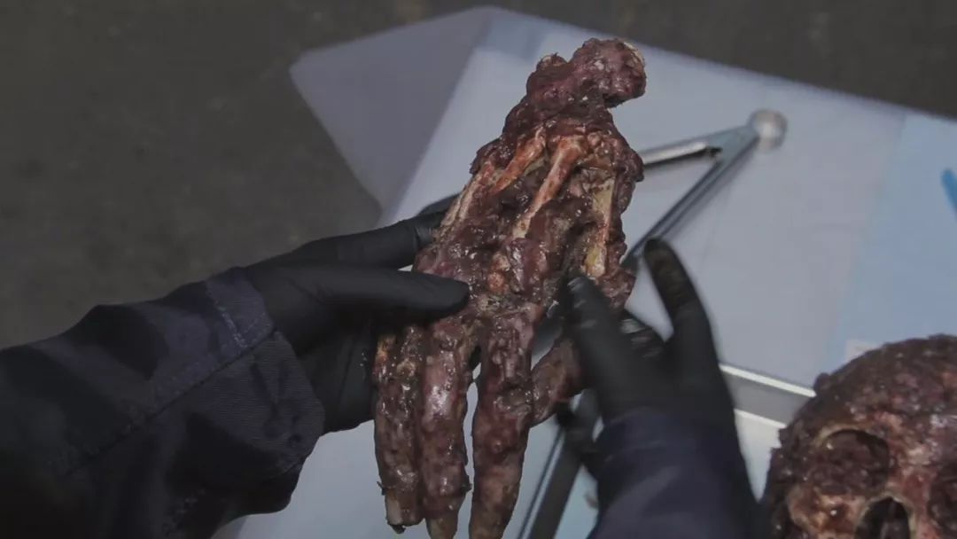 10部重口法医剧留着吃饭刷