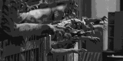 3f837eb4b43f45a2b5e7229ce123cb62.gif