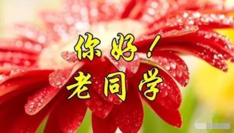 难忘同窗情送给老同学