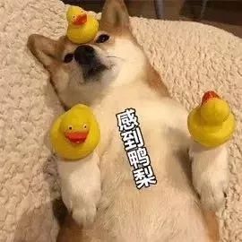                     别的可以不买，这样救你宝宝性命的东西一定要有！