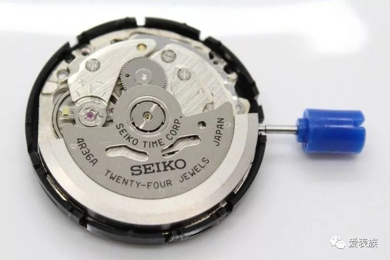 千奇百怪---Seiko Monster精工水怪全家福