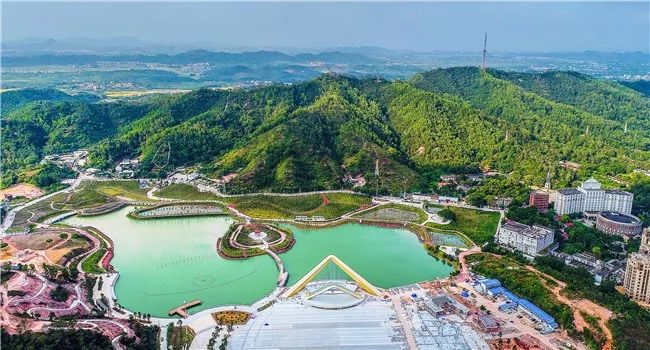 2018湛江市的gdp有多少_2016 2017 2018年广东省湛江市各县 市 区 GDP总量及增速排(3)