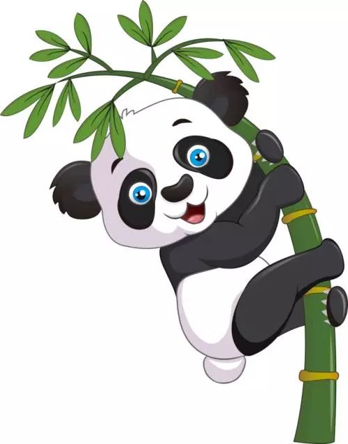 熊猫的形象很可爱