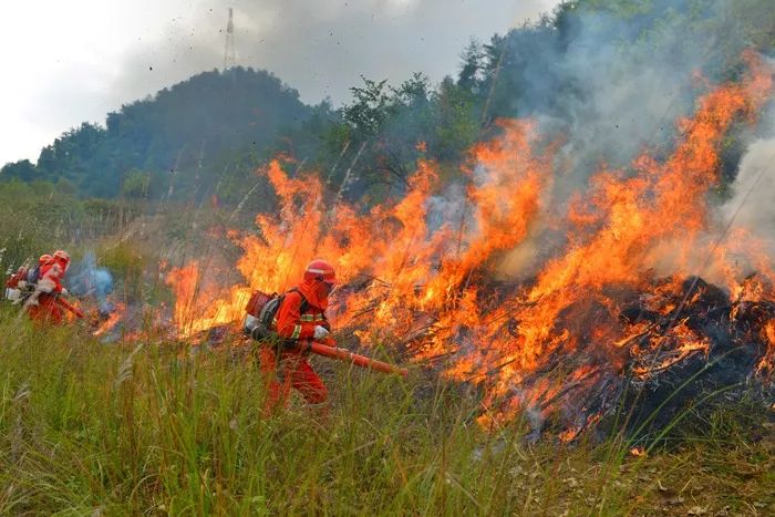 【提醒】2019年8月全国自然灾害基本情况