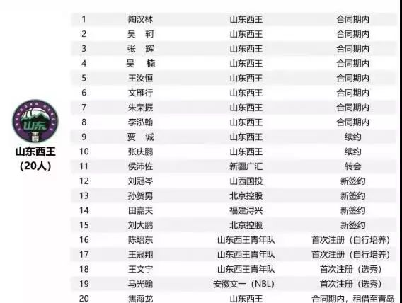 山东男篮最新名单公示 5c00d7b1a618481d98ff21f244427972.jpeg
