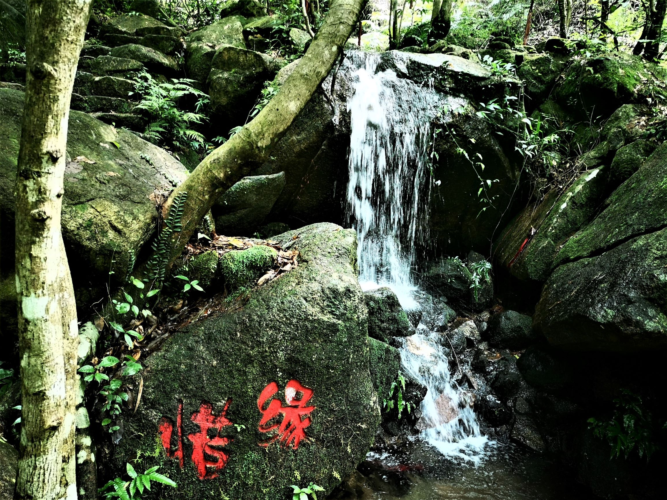 中山逍遥谷,周末去转转,避暑又健身