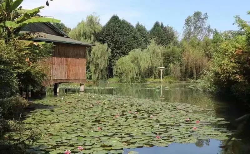 【赤岸采风】辉煌七十年 作家赤岸行:毛毛文化艺术园的标杆效应