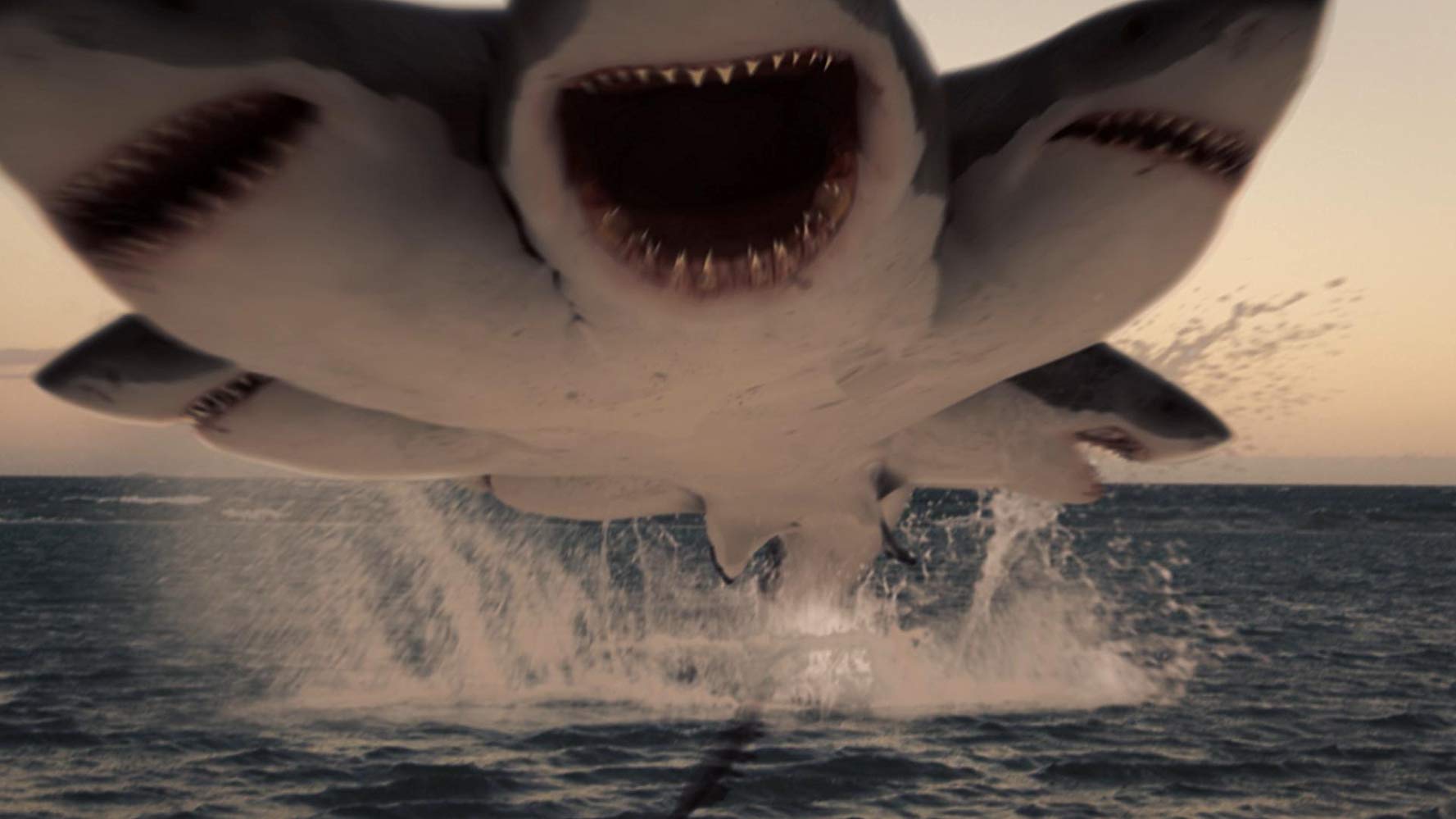 大白鲨—— 鲨鱼统治者 - 鲨鱼百科