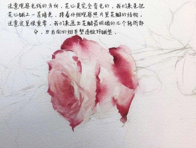 推荐 水彩应该如何学习 教你利用水彩绘画出妖艳的玫瑰花 花杆