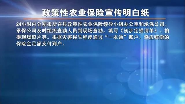 定损查勘招聘_无标题(4)