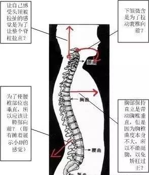 怎么站桩视频 67aaf198202c4438af2f2b9899209e7e.jpeg