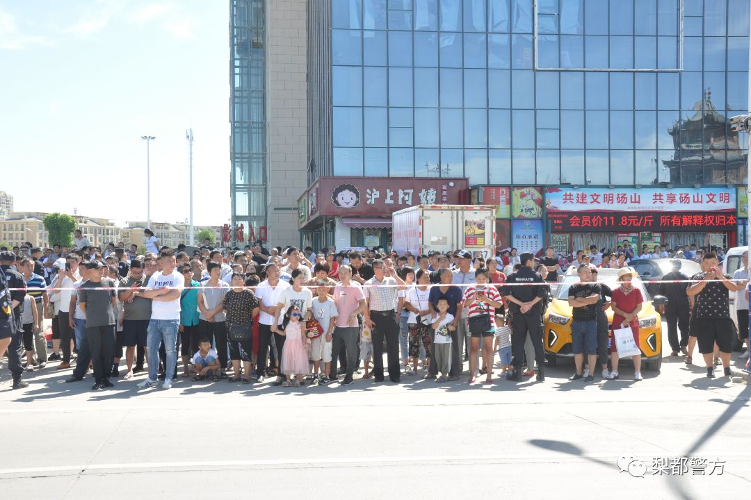 大快人心砀山警方武装押解一恶势力团伙进行现场指认