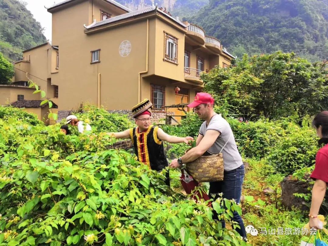 马山县城人口_马山县城