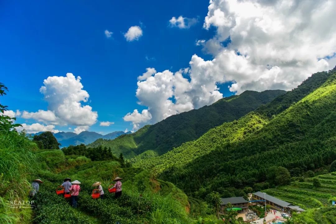 金子山景区金子山旅游风景区是连山第一个国家4a级旅游风景区,也是集