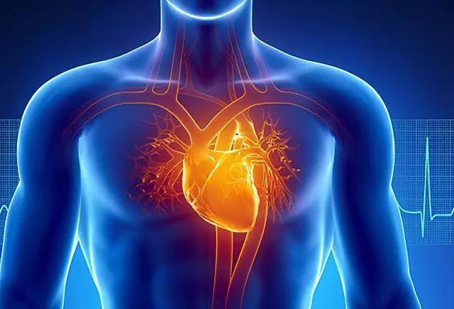 大型国际研究发现:心血管疾病可归因于13个可改变的风险因素