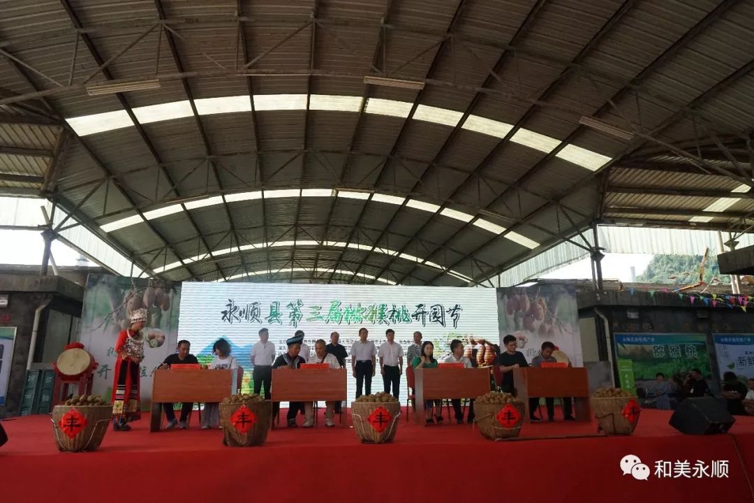 托起丰收的喜悦永顺县第三届猕猴桃开园节开园