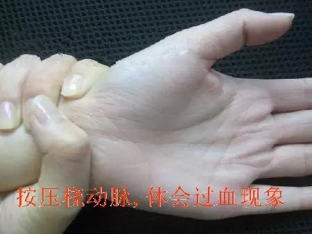 81cfd7a0e5a44a0a95bf6139e6a55c5a.JPG