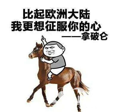 82be46fbaab74a4abd996b4bf537b205.jpeg