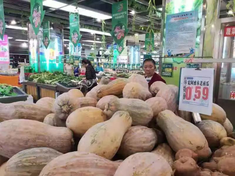 绥阳“我有十亩地”喜丰收 千吨生态南瓜走进市场