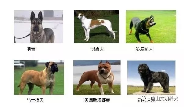 8e90f802a7884b948624e328715d1cb2.jpeg