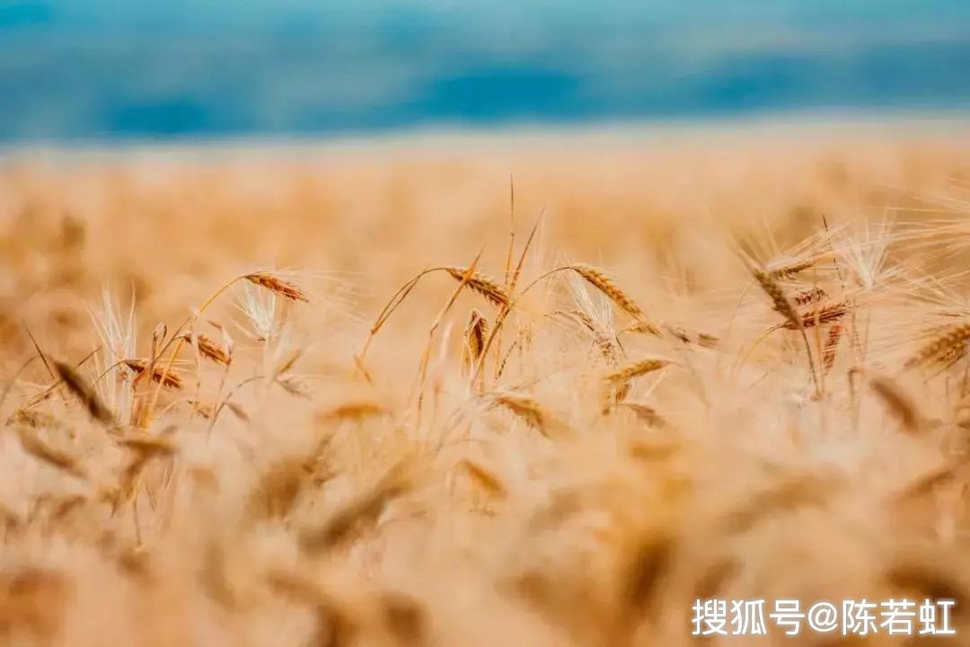 948a0df4e7254a73979a288d127806fe.JPG
