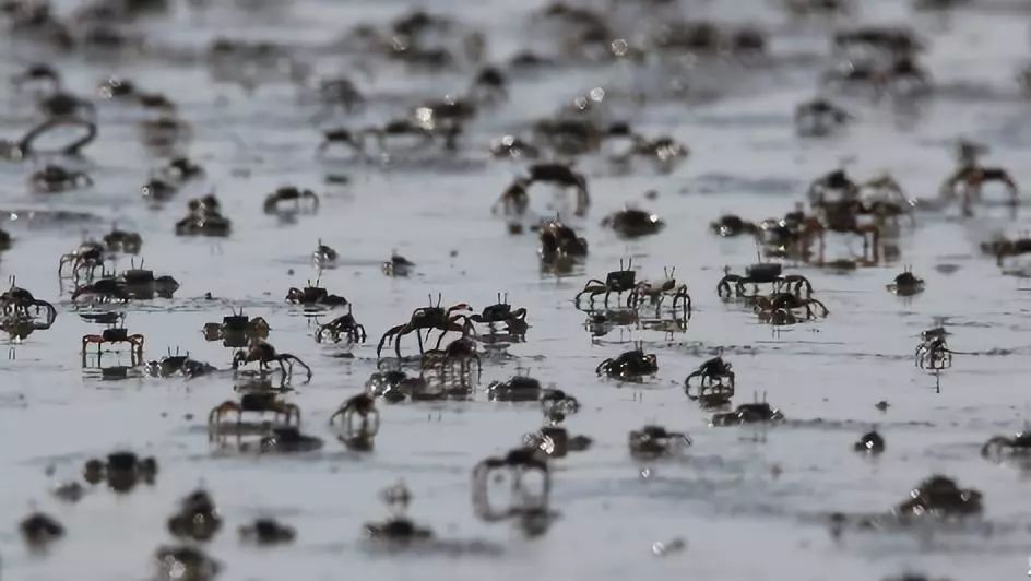 风暴潮是什么东西 9dc7953f57a54c4a846ce6a0dd953bcd.jpeg