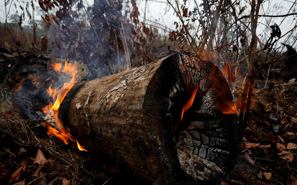 大火持续肆虐南美七国签署亚马孙雨林保护协议