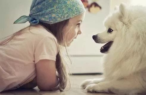 狗为啥喜欢小孩 a4c25e74bfb843e282ddd526b89c633e.jpeg