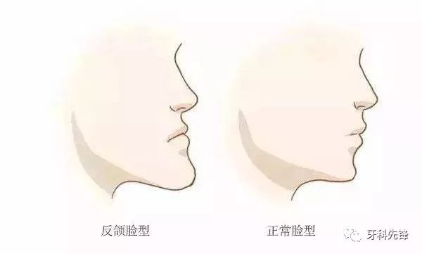 a692e69944dc441bbceefa5511e51c31.jpeg
