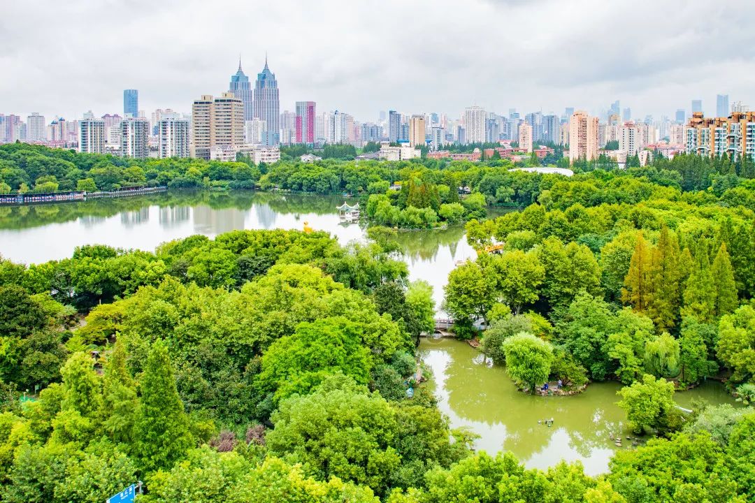 倒计时24小时!奇迹热气球空降长风大悦城,疯抢