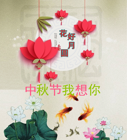 花好月圆,谁打开谁幸福!祝你健康长寿!