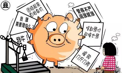 猪肉价格连续上涨原因 b3d0efa6ac794391a83b621bf27410c0.jpeg