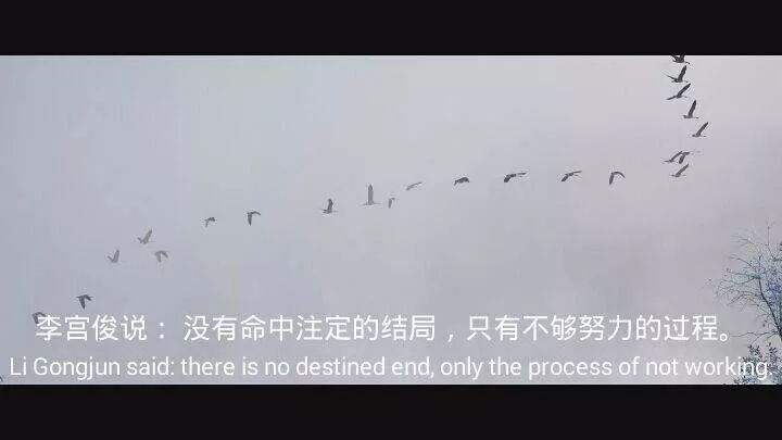 b46fd166c272433880bee3168ab1d178.jpeg