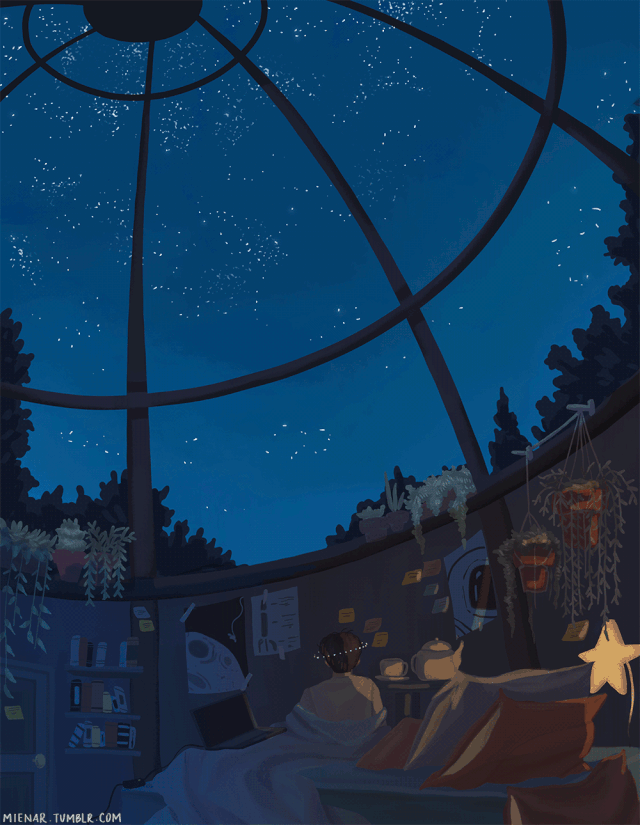 一旦爱上,会把你宠上天的4大星座!