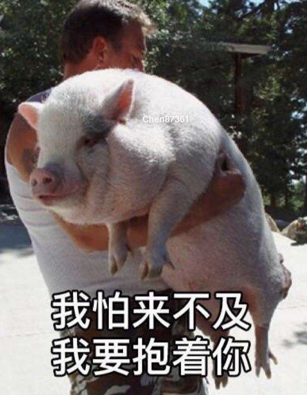 d3bbff346c5942218ce5bf74c8dc5d88.jpeg