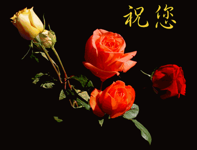d606ba097c664552ba92144780db63c6.gif