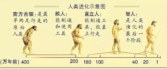 380万年前的猿人头骨,告诉你不一样的"人类进化史"