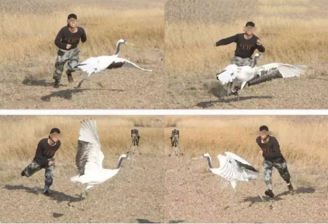 被囚34年取精，被迫亲手杀死爱子，最后只能挣扎着死去……