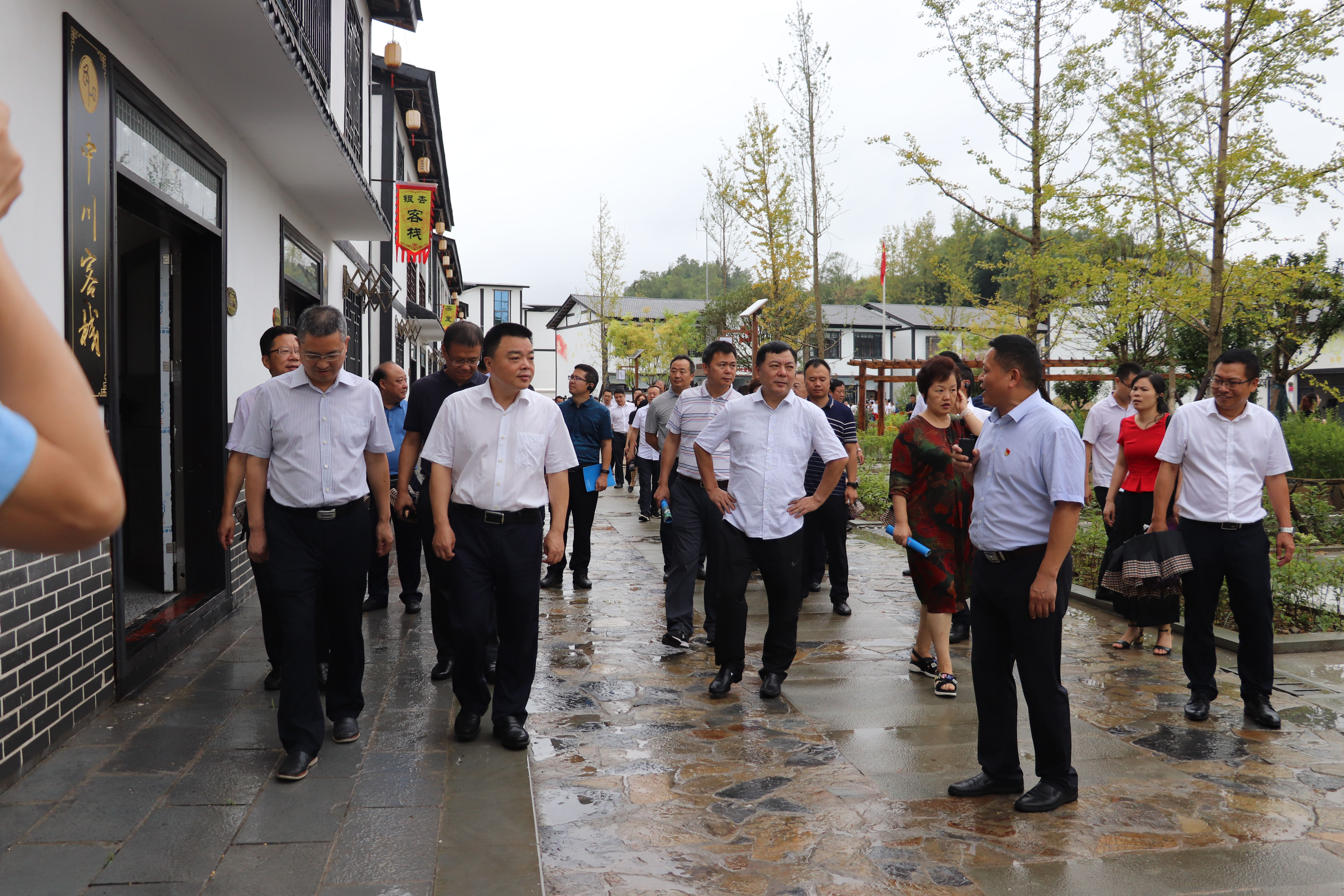 谋良策提底气真抓实干打造乡村振兴达川样板