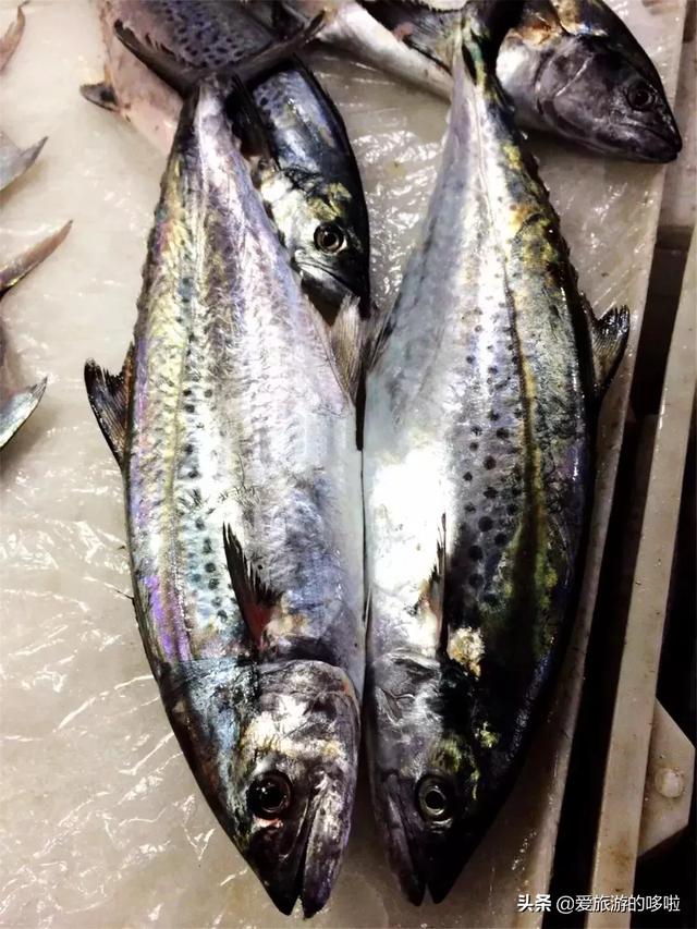 没有一条鱼能活着离开宁波,海鲜的101种吃法,