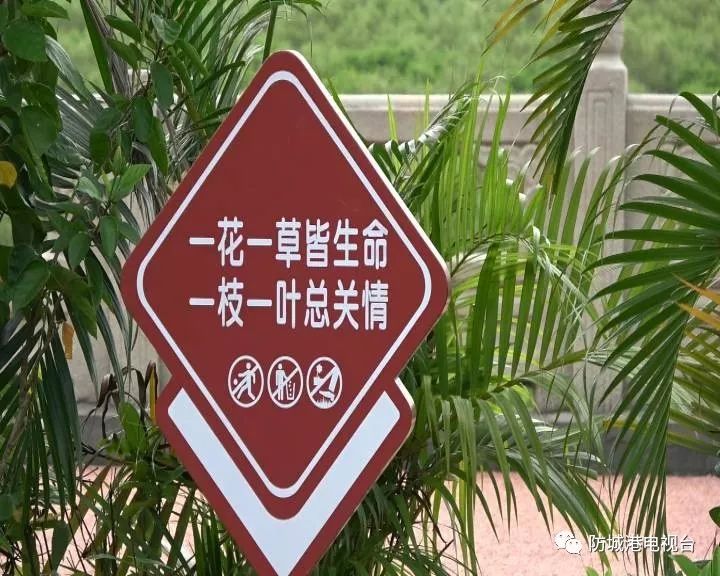 【软言微语巧提示 】"温馨"牌营造创园氛围
