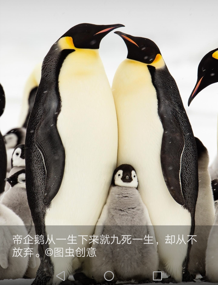 睁眼看世界:可爱的动物【2019.9.7.】