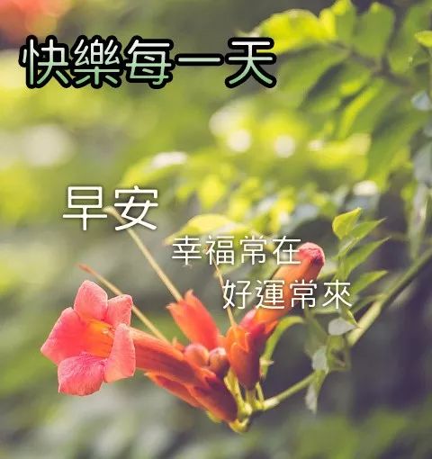 9月7日问候早上好图片带字动态表情 早上好图片问候祝福语句子
