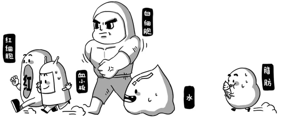 (红细胞,血小板,白细胞,水,脂肪等)