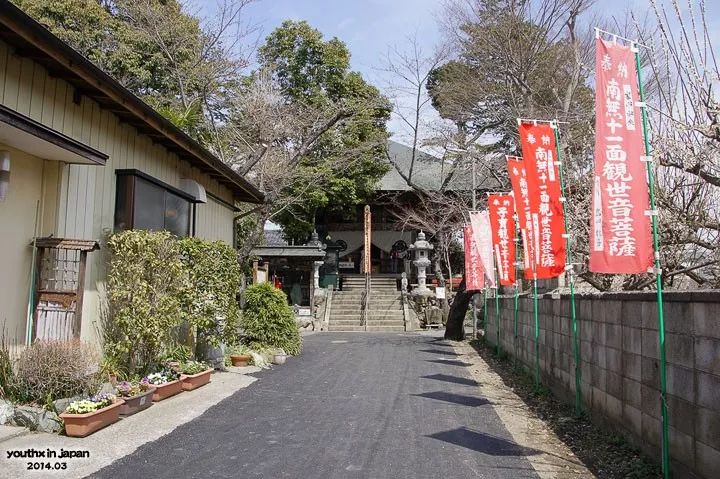 青年14 3日本游记28 秩父市 未闻花名 圣地巡礼3 定林寺 跟宇宙结婚 动画