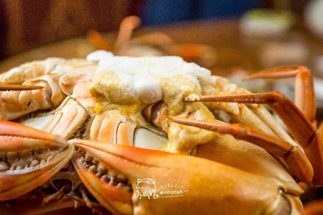“平民版黄油蟹”上市了，肉甜、多膏，随便一蒸就是人间美味