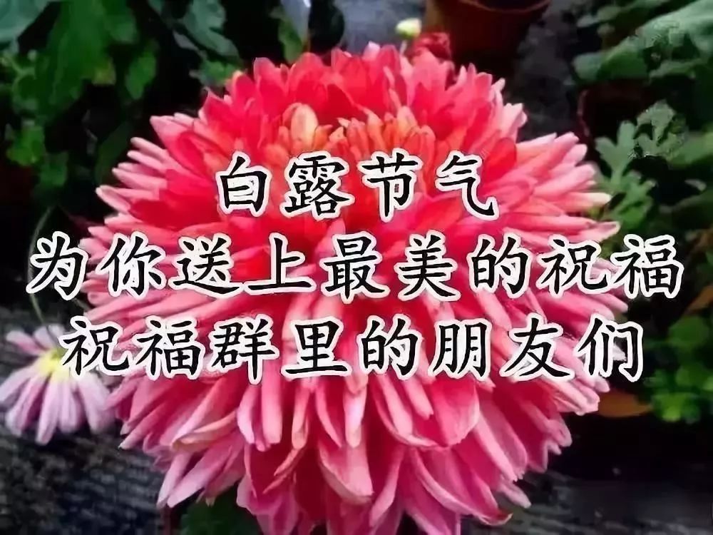 还有一句忘说了: 朋友天各一方, 思念依然芬芳, 愿你保重身体,一生