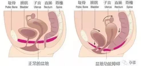 1fc55a78d49248a1a8c278abf864fda7.jpeg